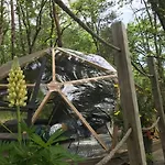 Arborea, Nuits Insolites Au Coeur De La Foret *
