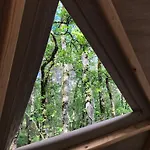 אוהל מפואר Arborea, Nuits Insolites Au Coeur De La Foret