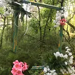 Arborea, Nuits Insolites Au Coeur De La Foret מונטיניאק