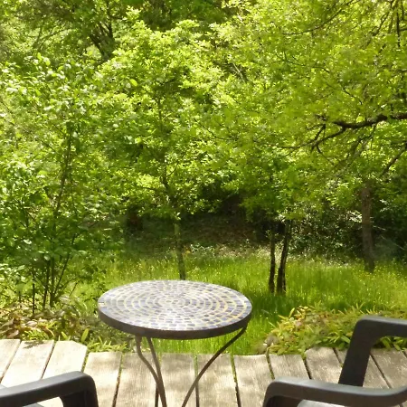Arborea, Nuits Insolites Au Coeur De La Foret