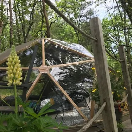 Arborea, Nuits Insolites Au Coeur De La Foret *
