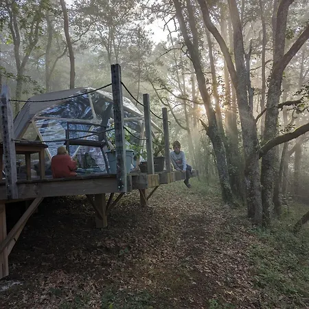 Arborea, Nuits Insolites Au Coeur De La Foret Montignac-Lascaux