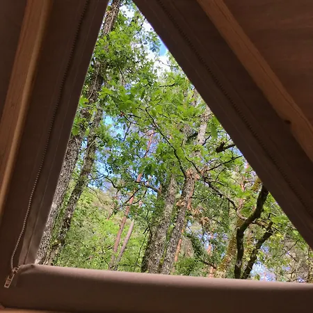 Luxusní stan Arborea, Nuits Insolites Au Coeur De La Foret Montignac-Lascaux